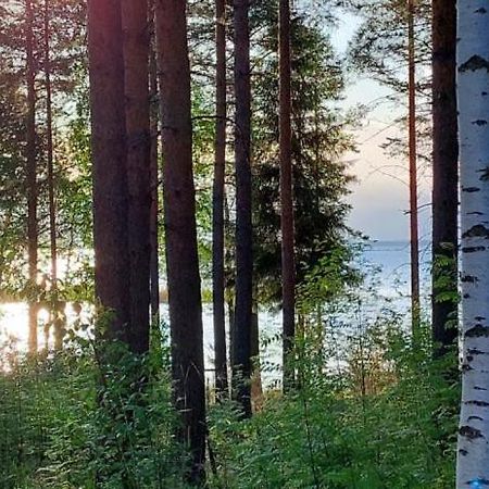 Pulla Karvisen Maatilamatkailussa Ruokola Kültér fotó
